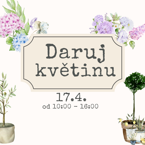 Daruj květinu – 17.4.